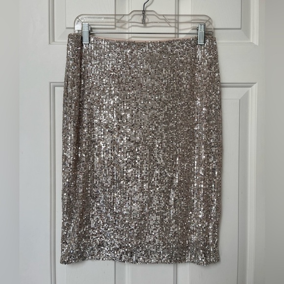NWT Cable & Gauge Champagne Sequin Skirt S - Picture 2 of 12